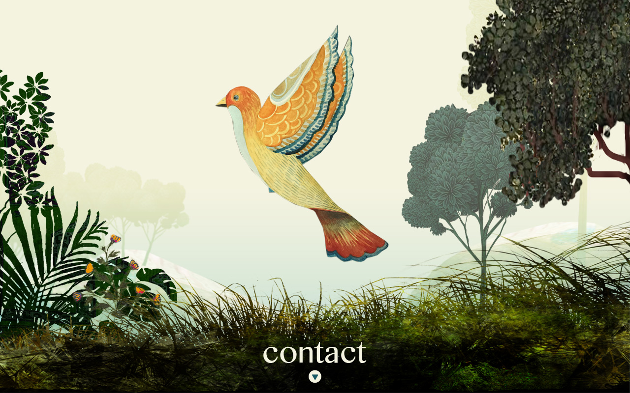 contact