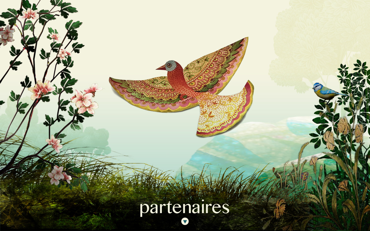 partenaires